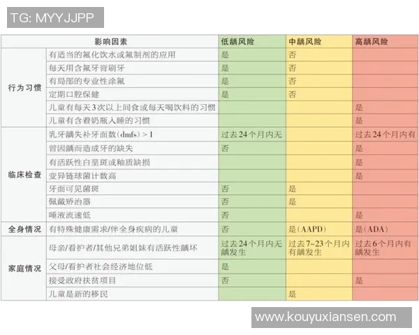 广州排球队精英赛战术分析与表现评估全面解读